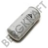 BERGKRAFT BK8600695 Fuel filter